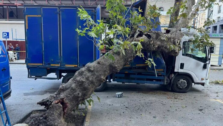 İzmir’de Kamyonet Ağaca Çarptı