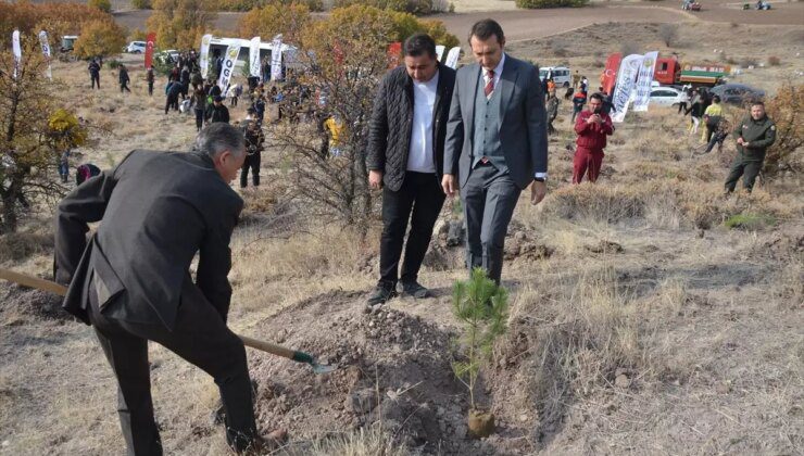 Kahramankazan’da 11 Kasım Milli Ağaçlandırma Günü Etkinliği