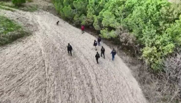 Kayıp iş adamı ormanda ölü bulundu, ortağı tutuklandı