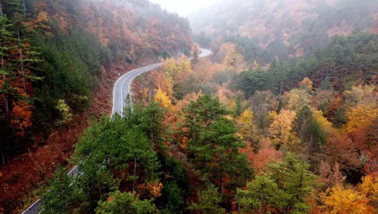 Kazdağları’nda Sonbahar Renk Cümbüşü