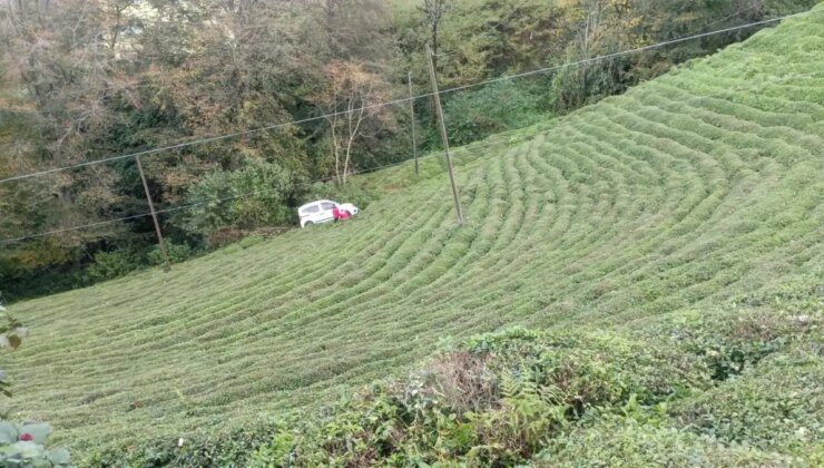 Rize’de Hafif Ticari Araç Çay Bahçesine Yuvarlandı