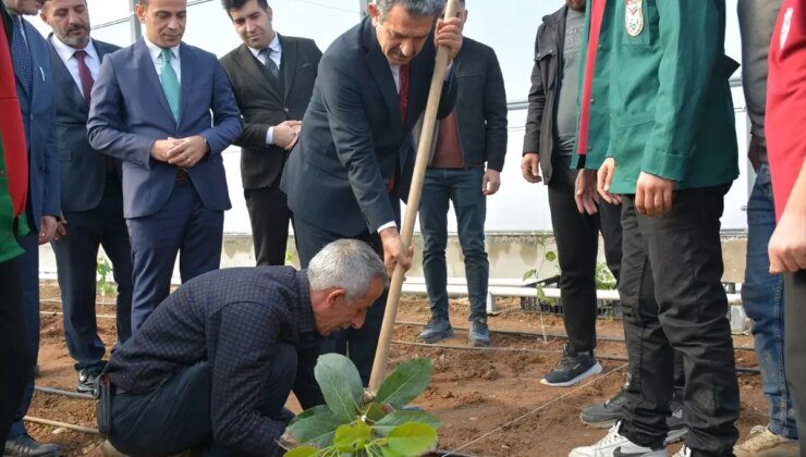 Silopi’de Tropikal Meyve Yetiştiriciliği İçin Protokol İmzalandı