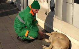 Bursa’da Temizlik İşçisinden Sokak Köpeklerine Sevgi Dolu Davranış