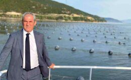 Türkiye’de Midye Üretimi Artıyor: Hedef 50 Bin Ton
