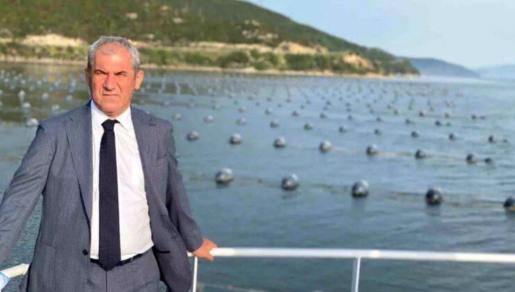 Türkiye’de Midye Üretimi Artıyor: Hedef 50 Bin Ton