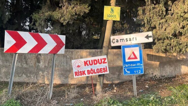 Hatay’da kuduz alarmı: Bir mahalle riskli alan ihale edildi