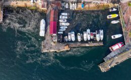 Marmara Denizi’nde Müsilaj Problemi Yeniden Baş Gösterdi