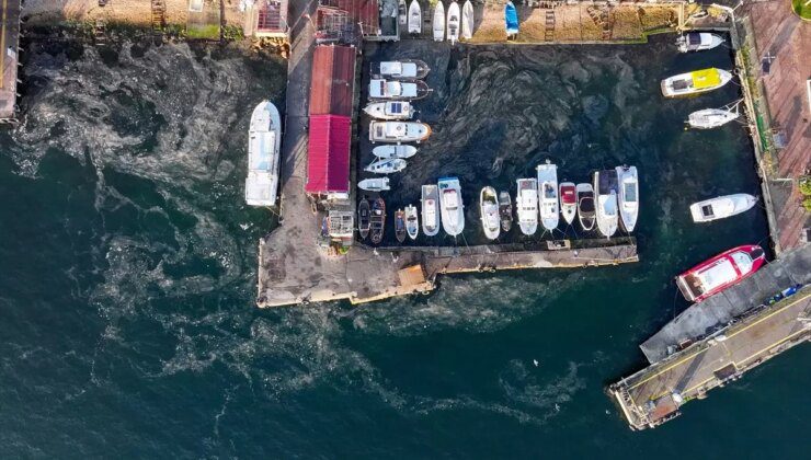 Marmara Denizi’nde Müsilaj Problemi Yeniden Baş Gösterdi