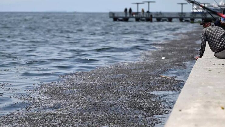 Savcılık İzmir Körfezi’ndeki kirliliğin sorumluları hakkında harekete geçti