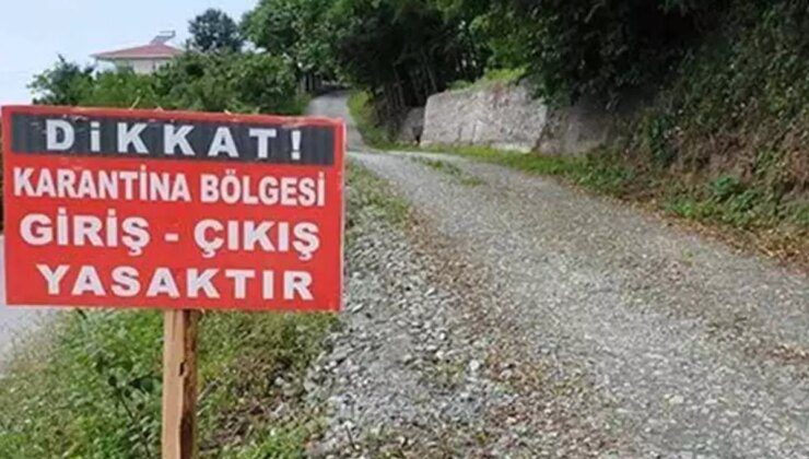 Tunceli’de şap hastalığı paniği: İlçede karantina uygulaması başladı