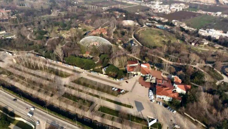 Bursa Hayvanat Bahçesi’nde Boz Ayılar Kış Uykusunu Unuttu