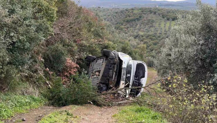 Otomobil Tarlaya Uçtu, Sürücü Burnu Bile Kanamadan Kurtuldu