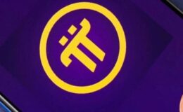 Pi Coin Yükselişte: Bu Yükseliş Geçici mi Yoksa Kalıcı mı?