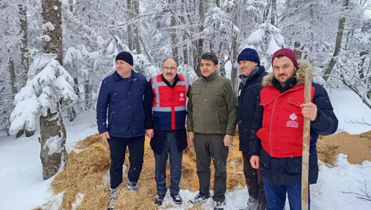 Uludağ’da Yaban Hayvanları İçin Yem Bırakıldı