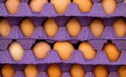 ABD Tarım Bakanı ülkedeki yumurta krizi eleştirilerini "Türkiye" açıklamasıyla yanıtladı