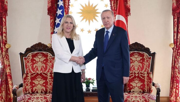 Cumhurbaşkanı Erdoğan, Bosna Hersek Devlet Başkanlığı Konseyi Başkanı ile görüştü