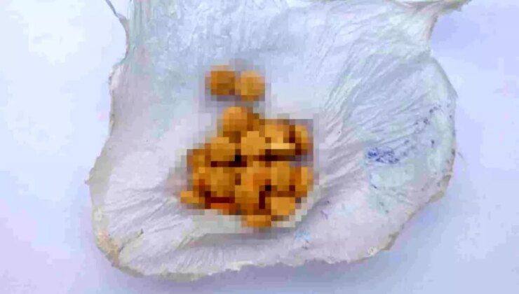 Kırıkkale’de Uyuşturucu Operasyonu: İki Şüpheli Gözaltına Alındı