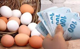 Yumurtacılar yumurta fiyatlarındaki artışı "ABD rüyası"na bağladı