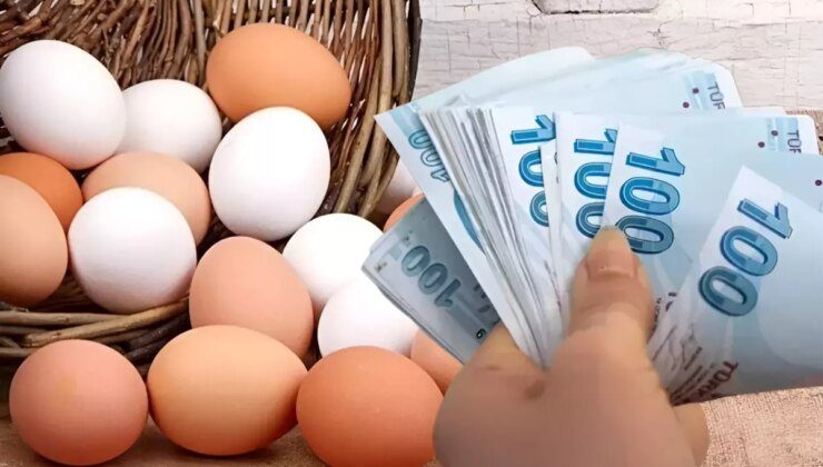 Yumurtacılar yumurta fiyatlarındaki artışı "ABD rüyası"na bağladı