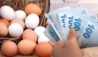 Yumurtada fahiş fiyata ilişkin yeni tedbir yürürlüğe girdi