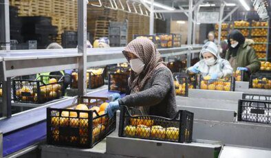 25 ülkeye ihracat yapıyordu! Türkiye’nin gıda devi iflasın eşiğinde