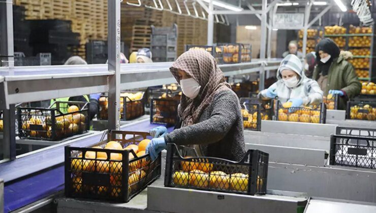 25 ülkeye ihracat yapıyordu! Türkiye’nin gıda devi iflasın eşiğinde