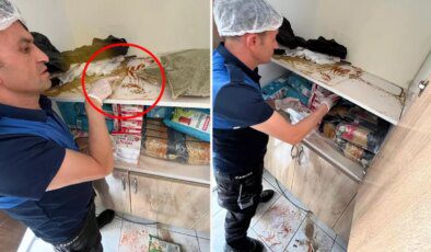 Devrek’te bir rezil görüntü daha! Dolaplar fare pisliklerinden geçilmiyor