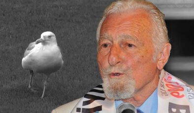 Dolmabahçe’deki maçta martı sürprizi: Süleyman Seba’nın sözleri akıllara geldi!