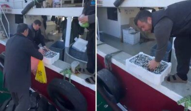 Kasalar dolusu balığı bedava dağıttılar! Nedeni de bir o kadar ilginç