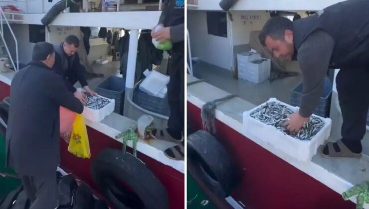 Kasalar dolusu balığı bedava dağıttılar! Nedeni de bir o kadar ilginç