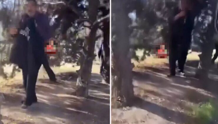 Mide bulandıran iddia! Kamerayı görünce apar topar kaçtılar