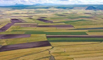 Yatırımda rota değişti, arsa değerinin en çok arttığı 10 il belli oldu