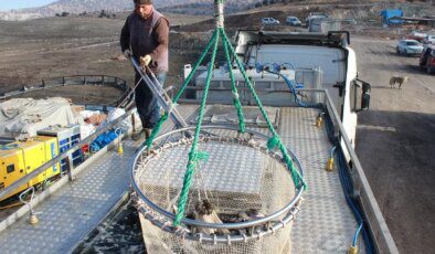 Bozkırın ortasında yetişti, Rusya ve Japonya yolcusu oldu