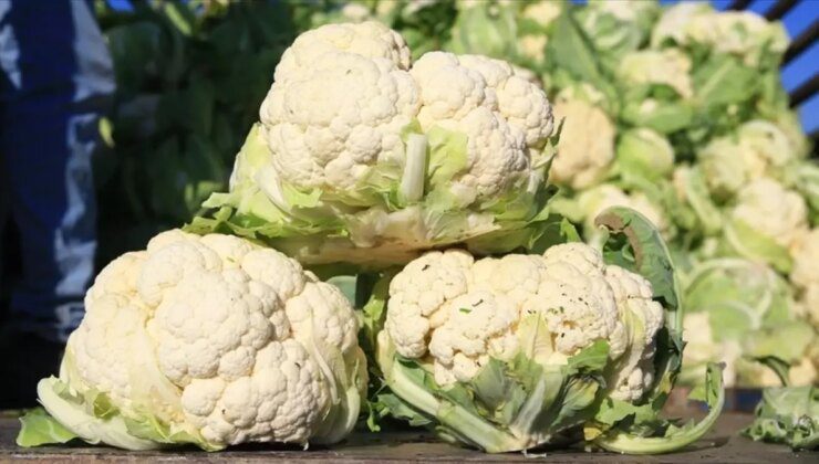 Kasım Ayında Dengeler Değişti, Bilet fiyatları artarken, karnabahar dibi gördü!