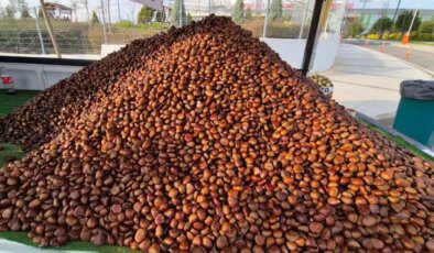 Kilosu 175 liradan, günde 600 kilo satıyor! Havaların soğumasıyla yıldızı parladı