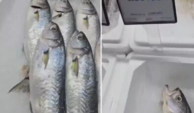 Markette satılan balığın fiyatını duyunca büyük şaşkınlık yaşadı