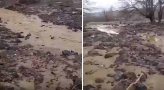 Sağanak yağış tarımı alt üst etti! Binlerce dönüm arazi sular altında