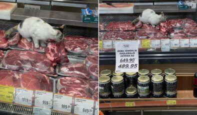 Yine zincir market yine mide bulandıran görüntüler