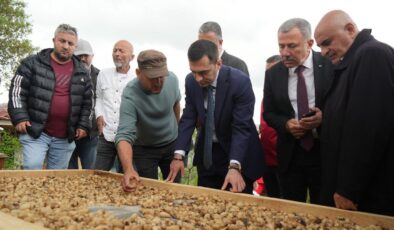 Kilosu 12 bin TL’den satılıyor! ‘Topraktaki altın’ın hasadı başladı
