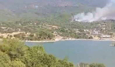 Aydın’daki orman yangınına havadan müdahale yeniden başladı
