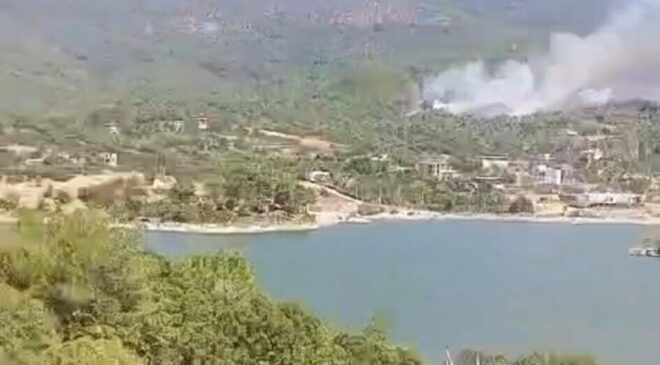 Aydın’daki orman yangınına havadan müdahale yeniden başladı