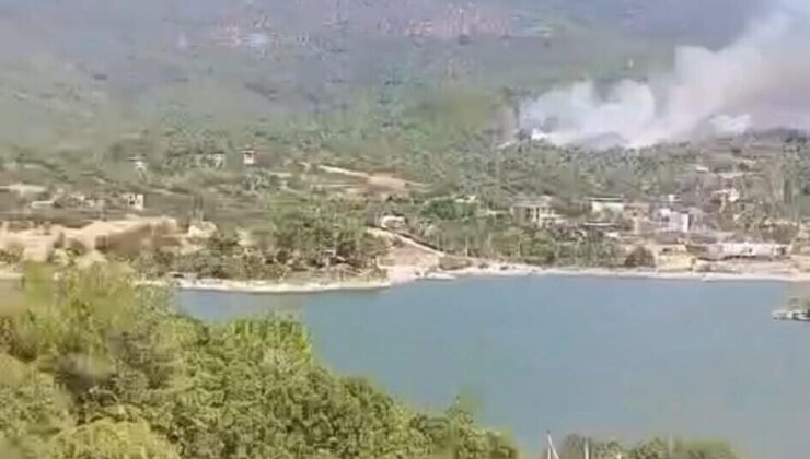 Aydın’daki orman yangınına havadan müdahale yeniden başladı