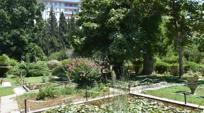 ‘Canlıların yaşayabileceği tampon bölgelerin kaybolduğunu görüyoruz’
