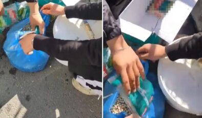 Esnaftan pes dedirten oyun! Marketten alıp ‘köy nohudu’ diye satmışlar
