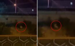 Görüntü Türkiye’den! Kimseye aldırmadan yol kenarında cinsel ilişkiye girdiler