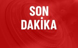 LGS sonuçları açıklandı