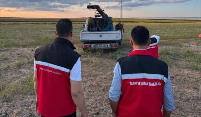 Tekirdağ’da çekirge popülasyonu takip ediliyor