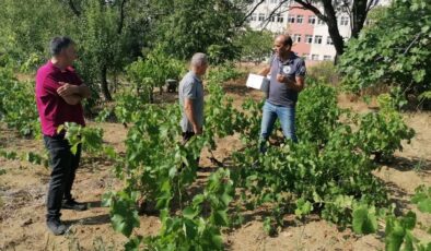 Tekirdağ’dan kısa kısa