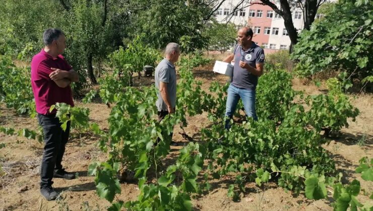 Tekirdağ’dan kısa kısa