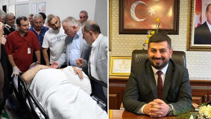 Arı kovanı bakımı yapan belediye başkanı iskeleden düşüp yaralandı